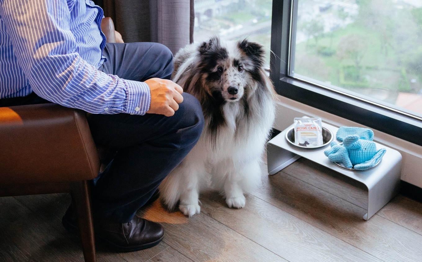 圖說4：法國皇家提供主食濕糧，讓毛孩在外出時，也能獲得適當的水分補充與享受完整均衡的主食。