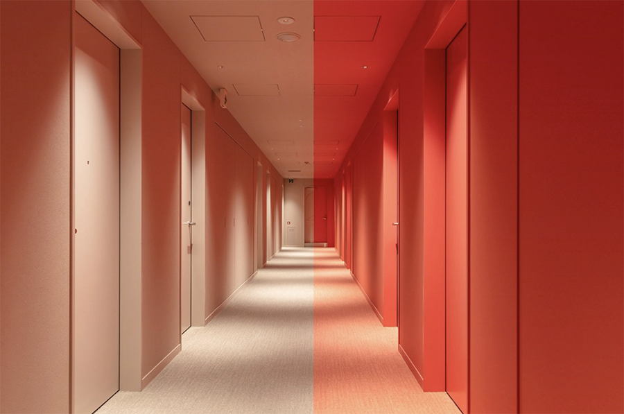 截圖 2022 06 19 16.20.38