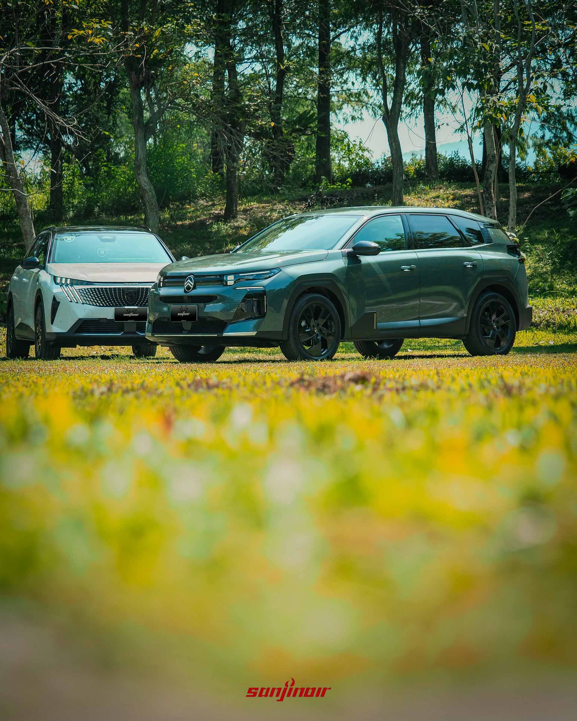 綠色CITROËN C5 Aircross與白色PEUGEOT 5008停放於草地,前景帶有模糊的黃綠色草叢。