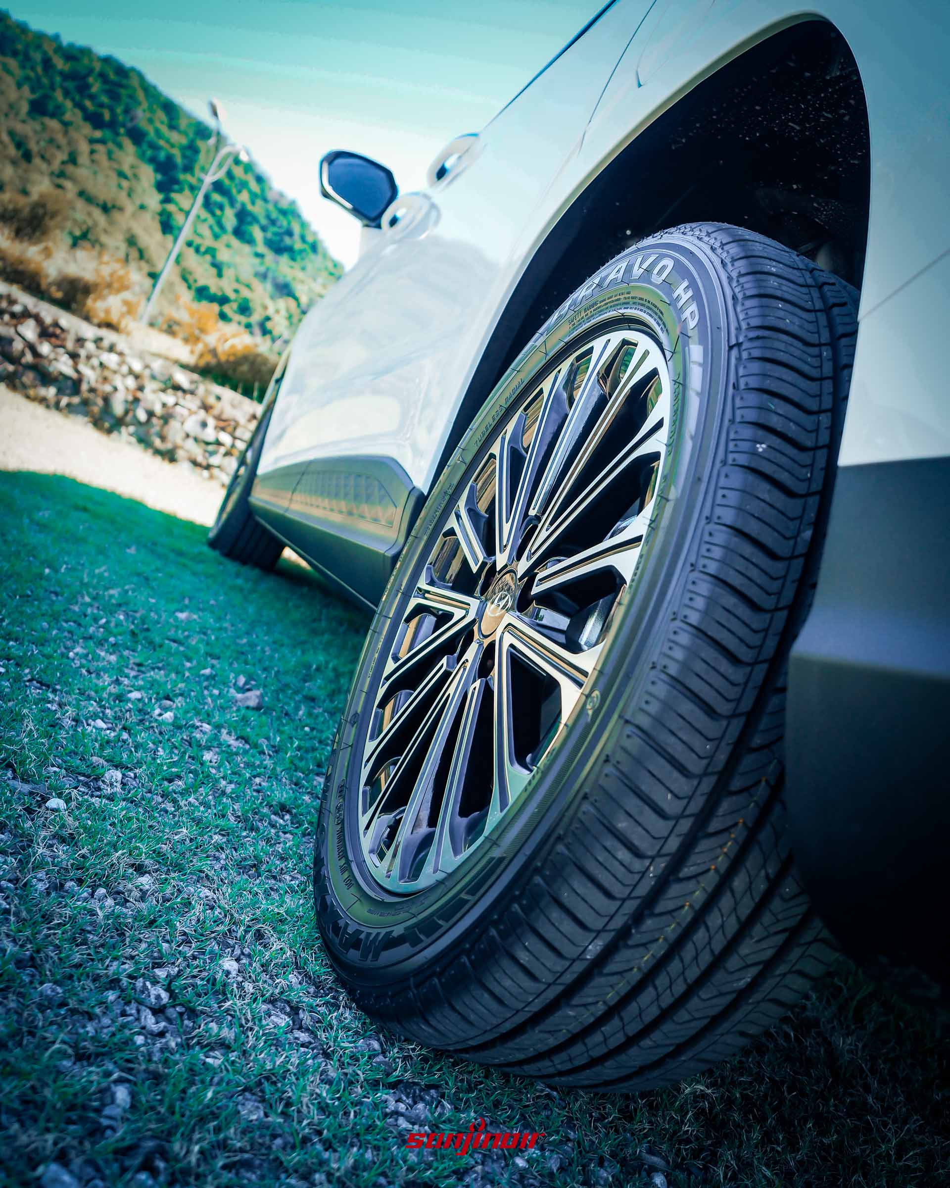 Olympus Digital Camera