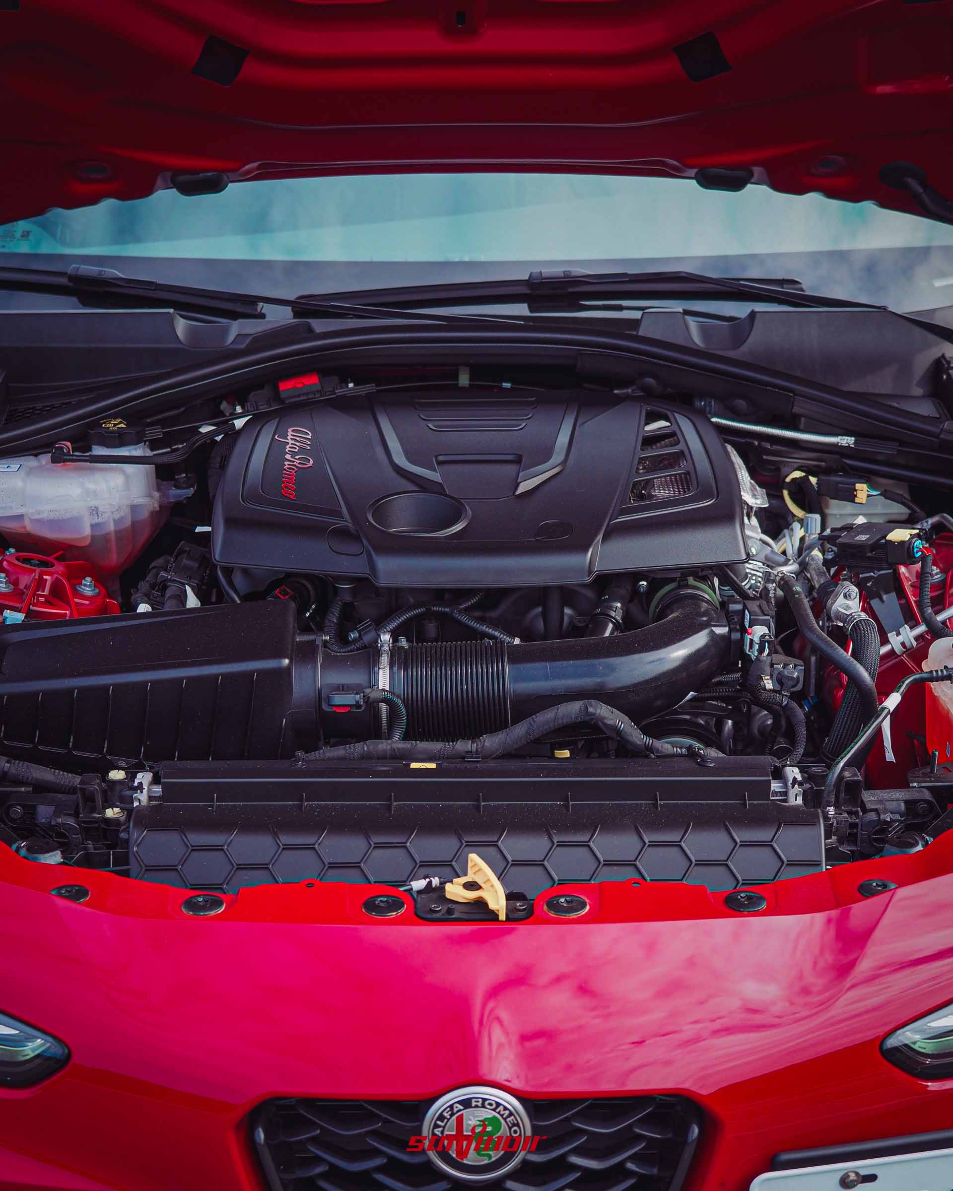 Alfa Romeo Giulia Sprint引擎室特寫,展示Alfa Romeo飾蓋與引擎配置。