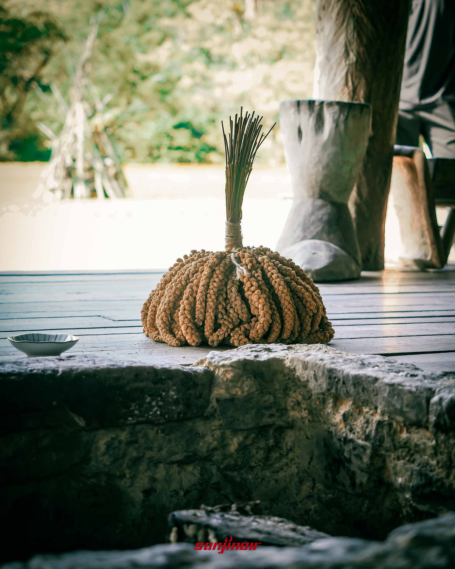 放置於木質地板上的乾燥小米束。