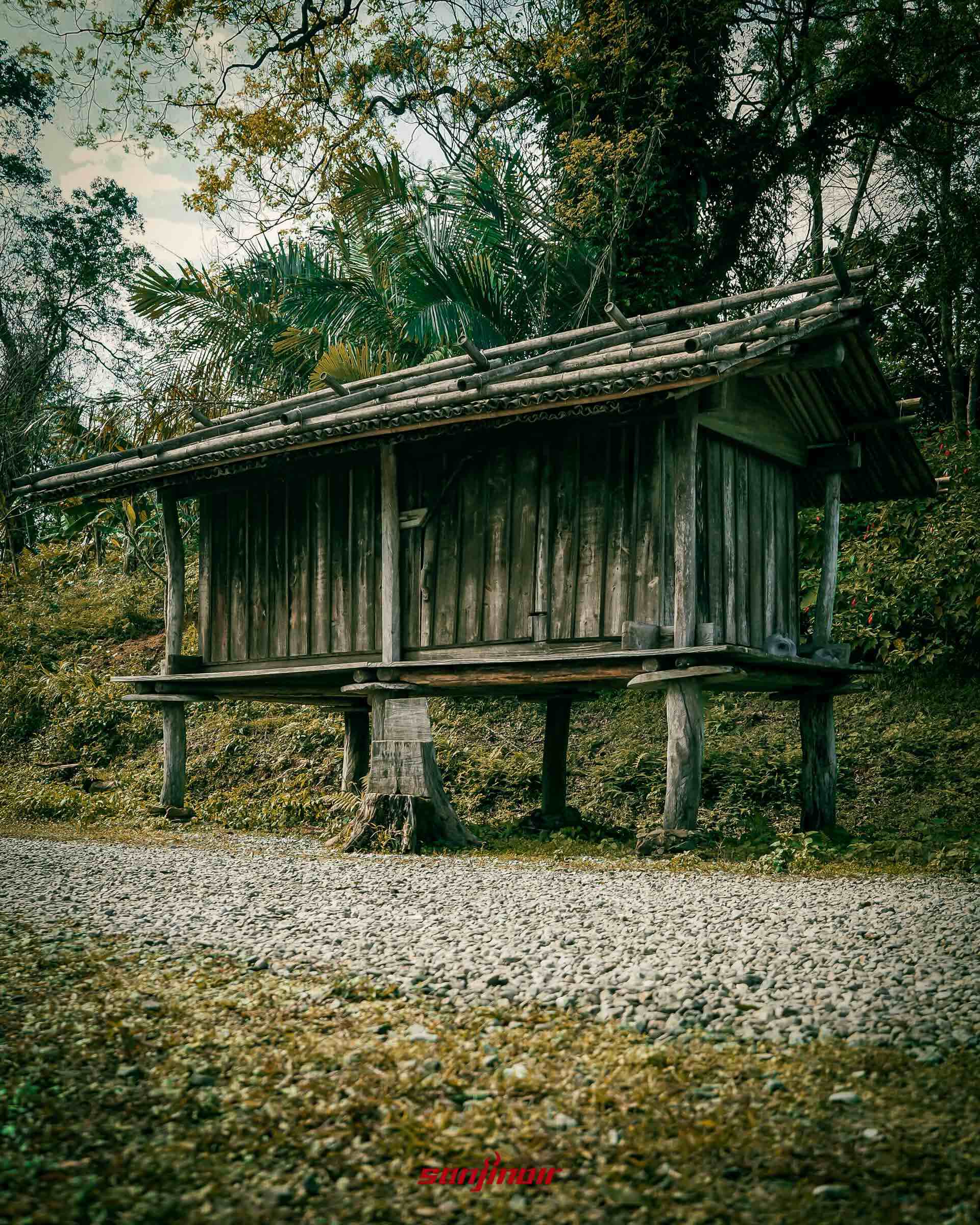 架高傳統木造穀倉底部柱子裝有防鼠板。