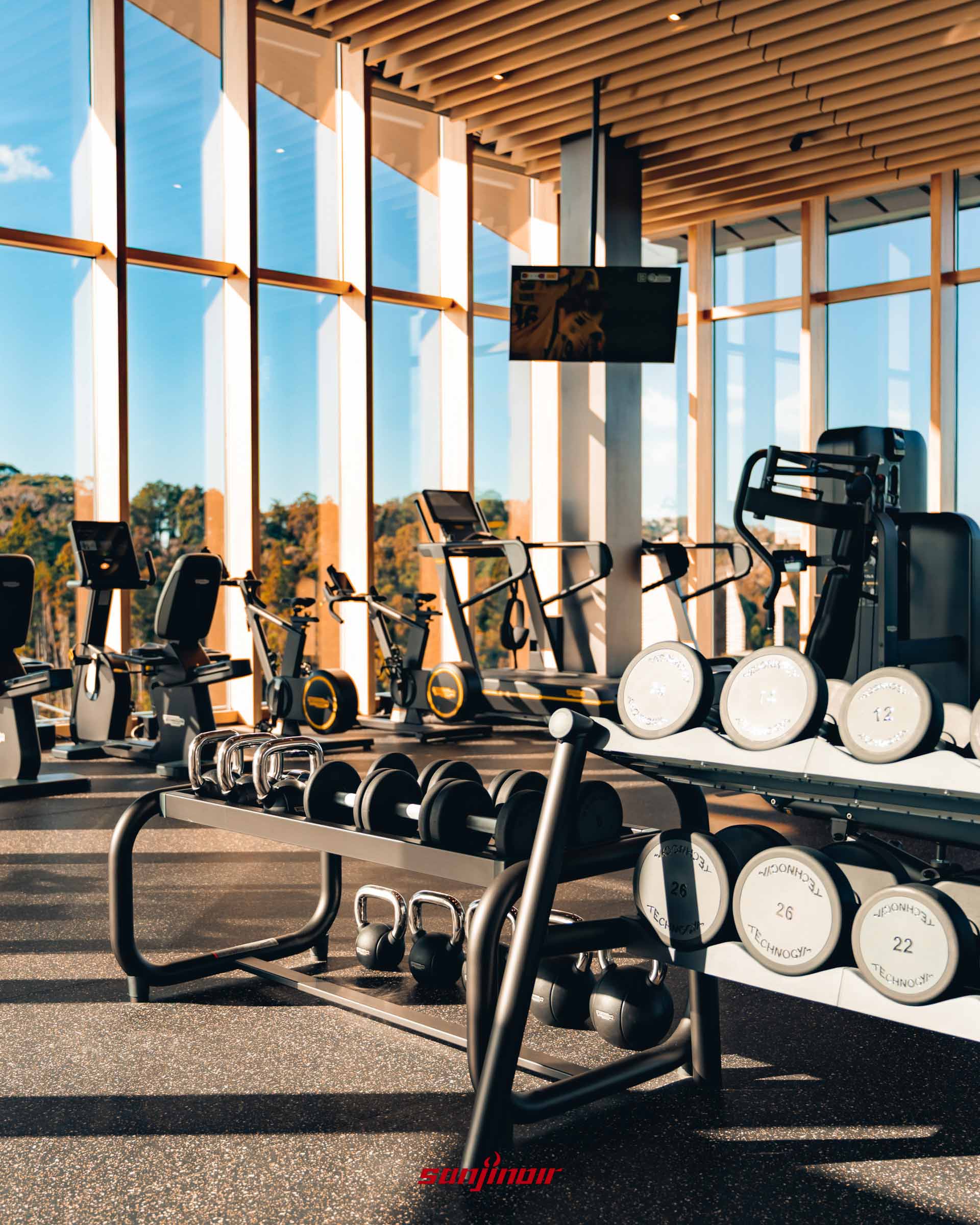 採光極佳的健身房內，整齊排列著啞鈴架、跑步機與飛輪等黑色健身器材，窗外可見山林景致。