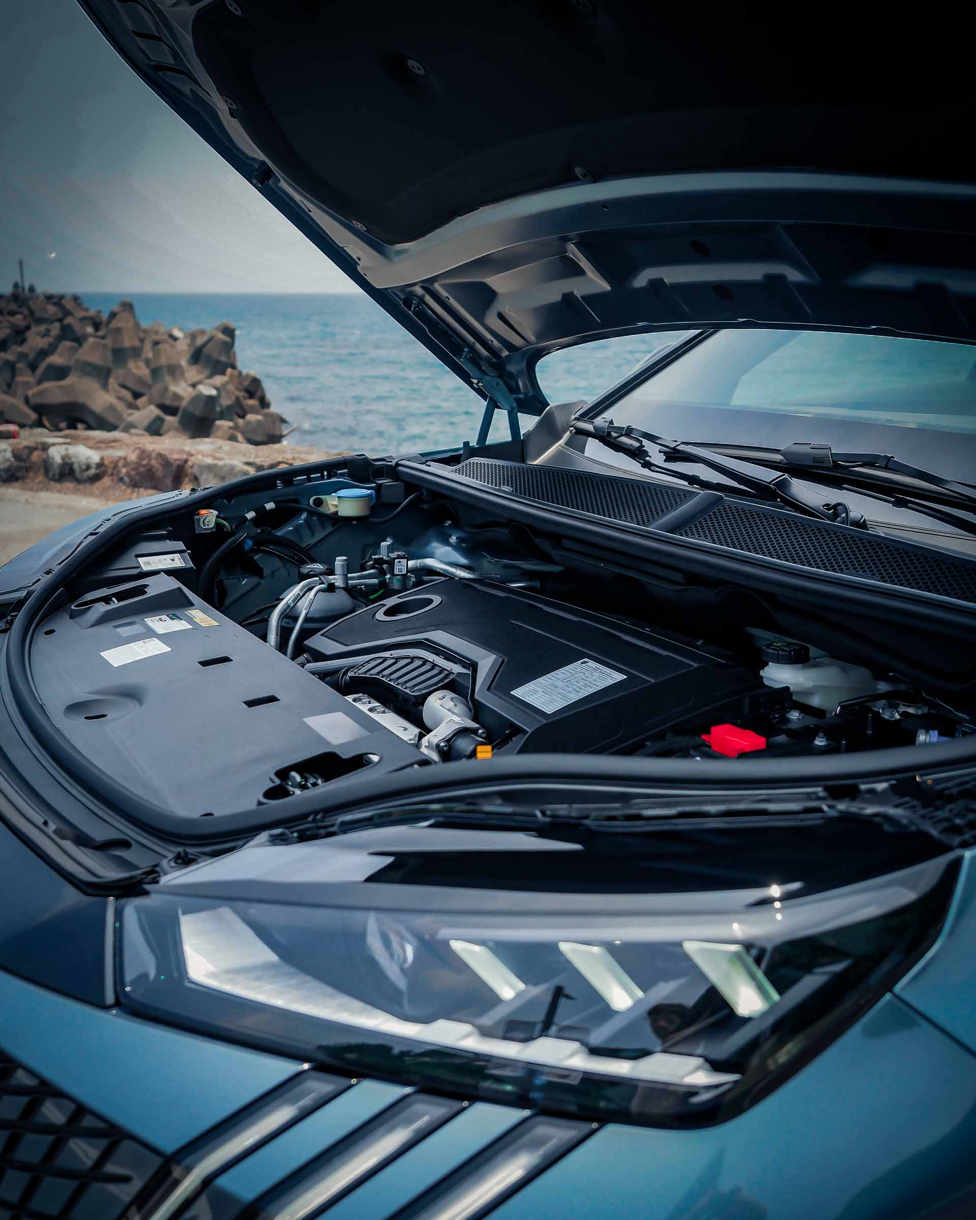 Olympus Digital Camera