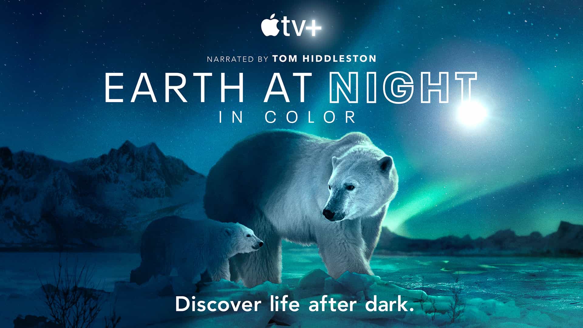 Apple Tv+《探索夜色大地》現正熱播中