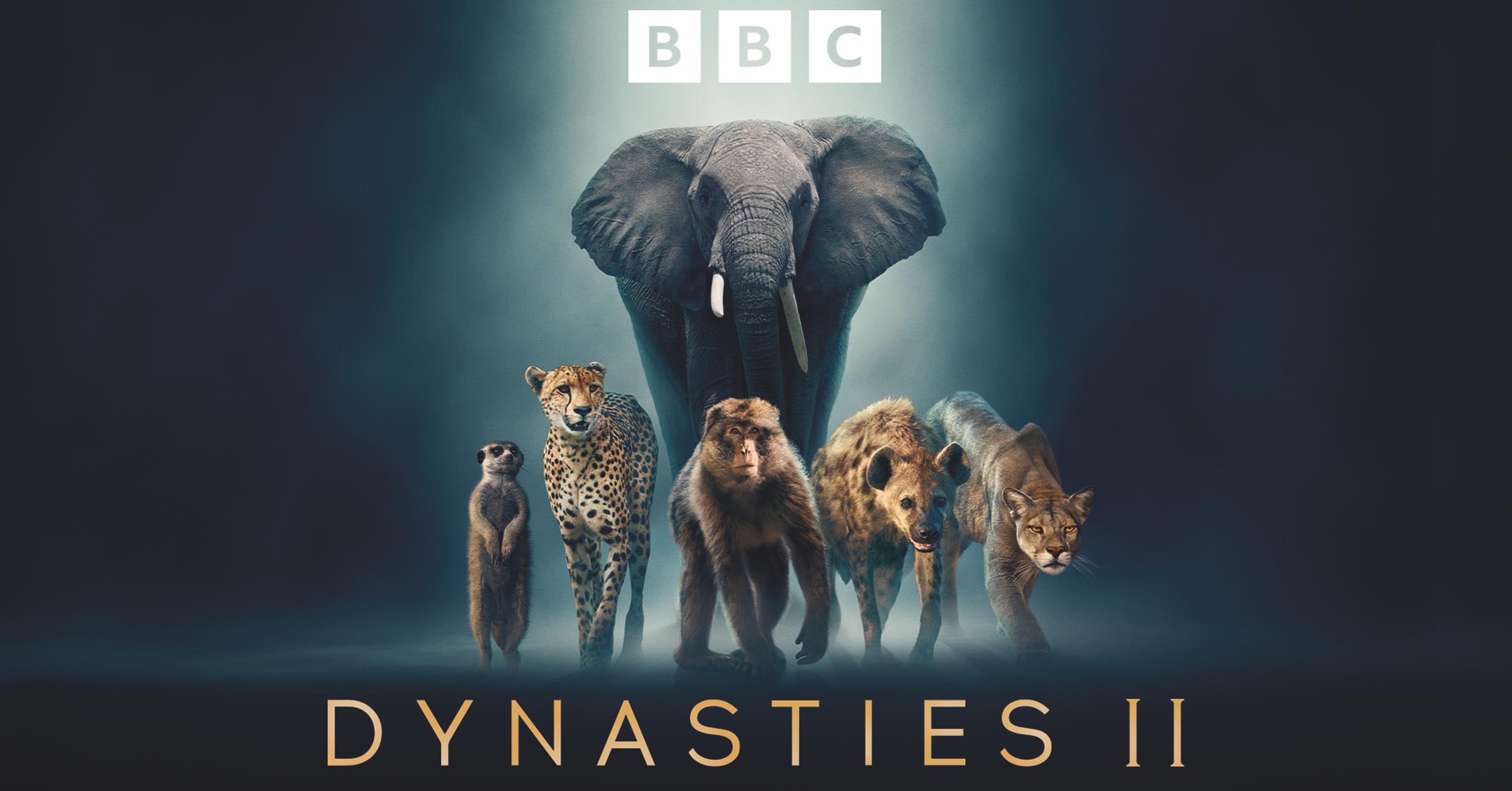 Dynasties Ii