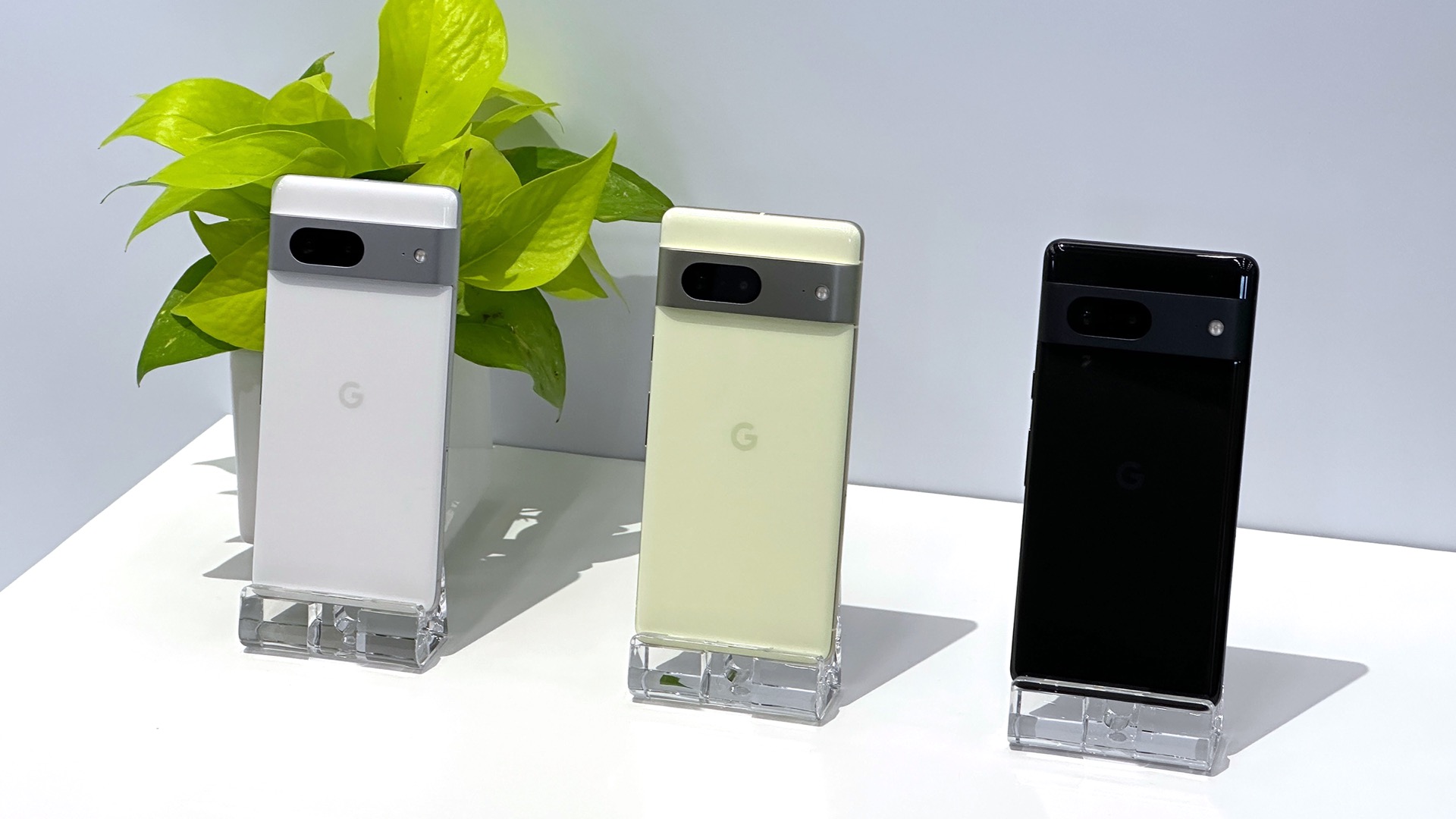 Google Pixel 7 三色
