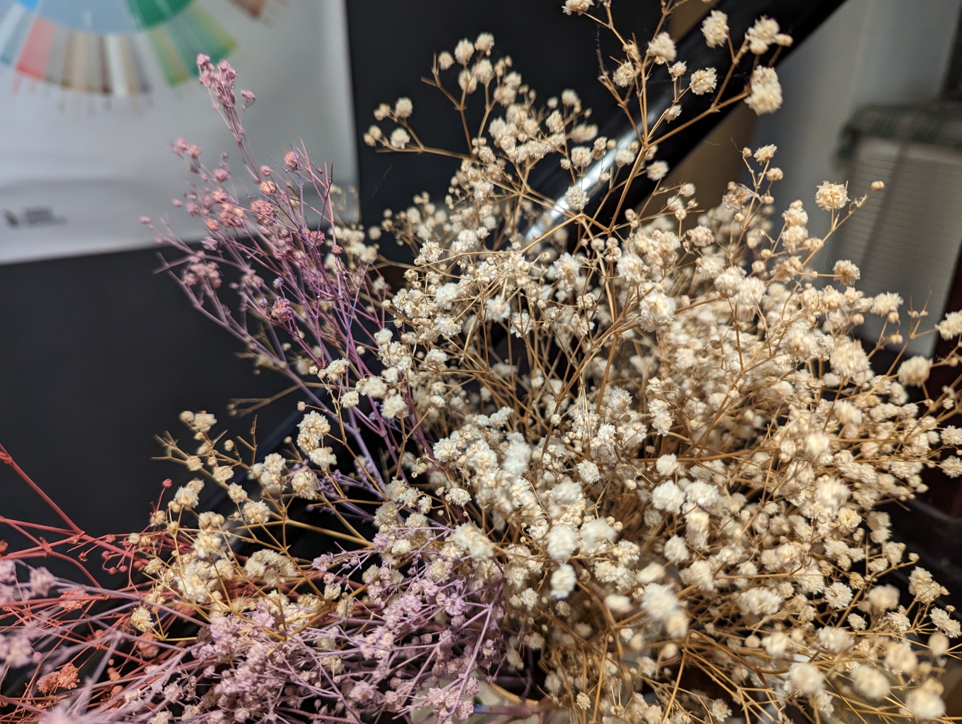 Pxl 20221023 033718216