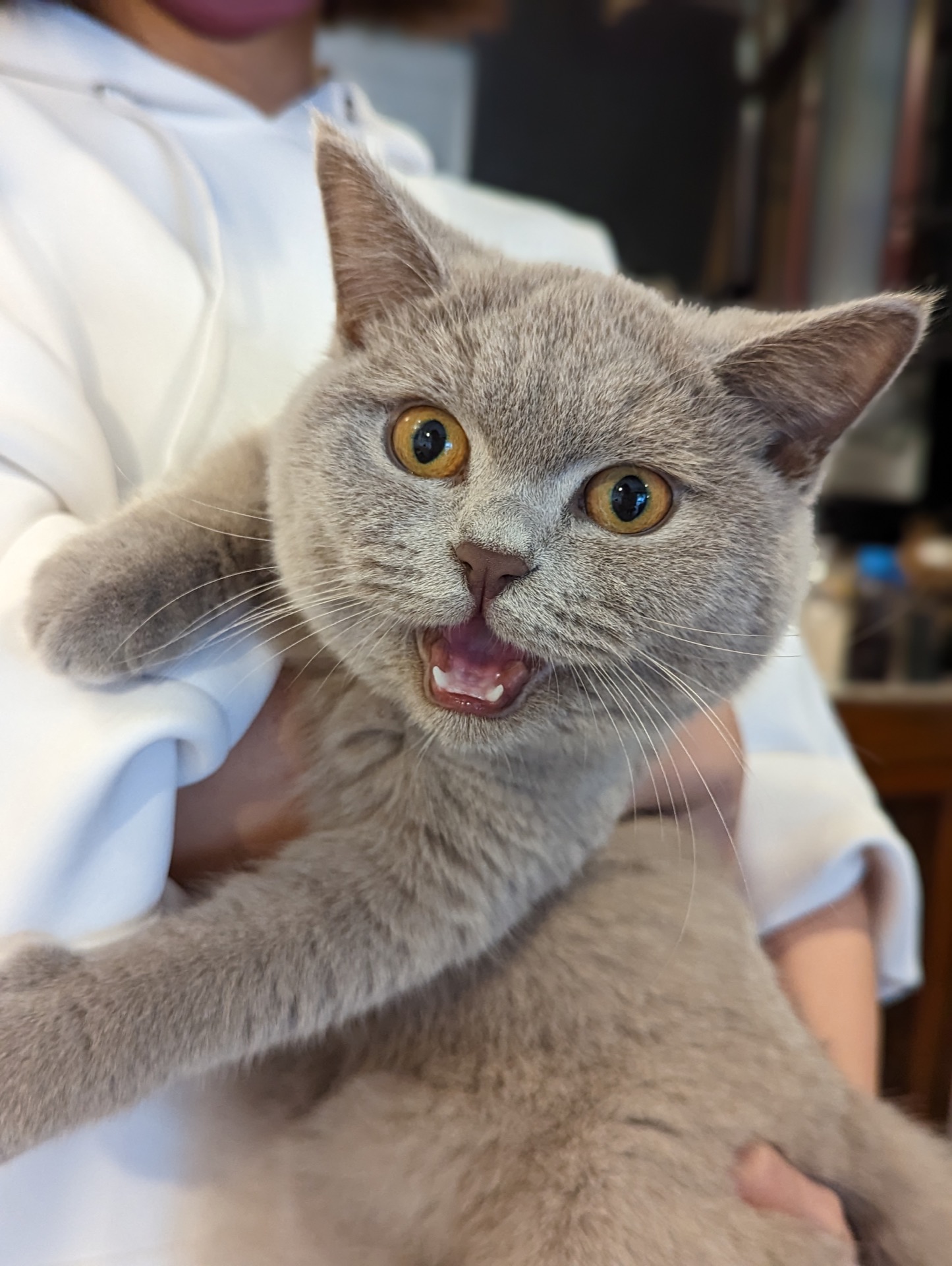 Pxl 20221023 052635326.portrait