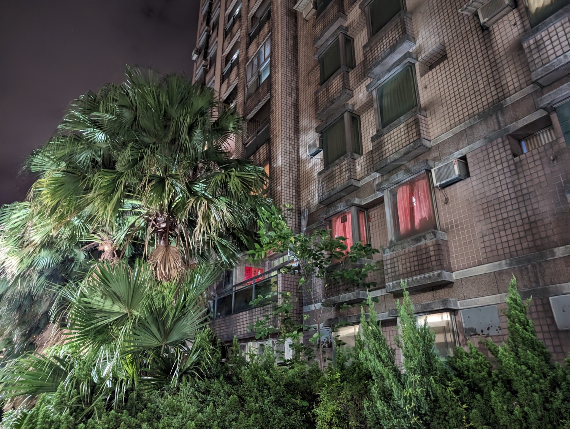 Pxl 20221024 141639263.night