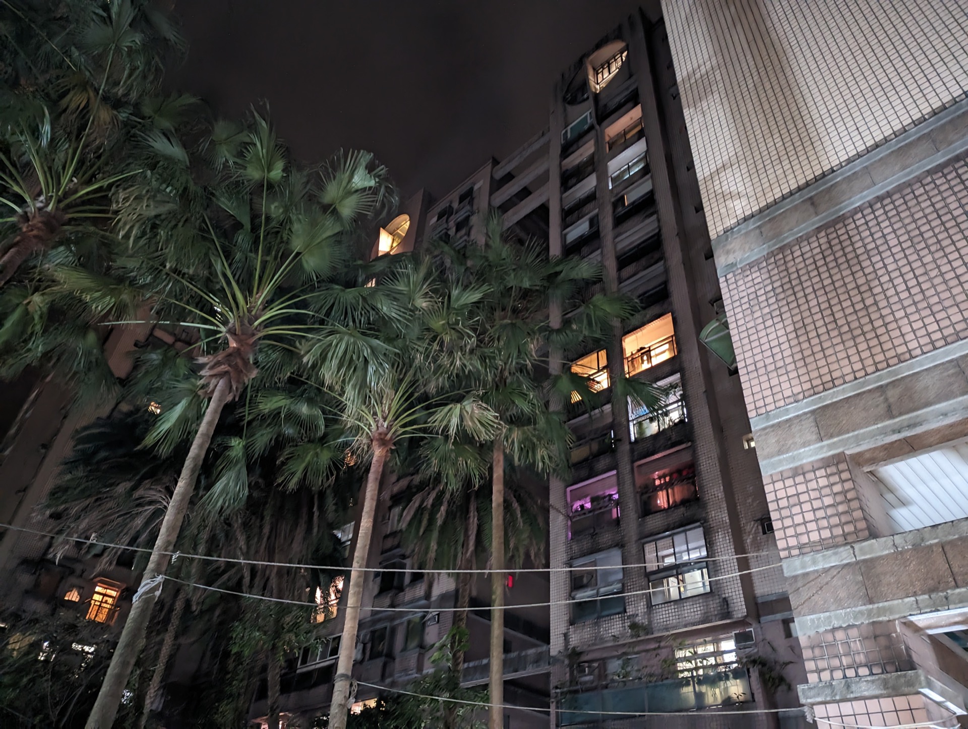 Pxl 20221024 142126413.night