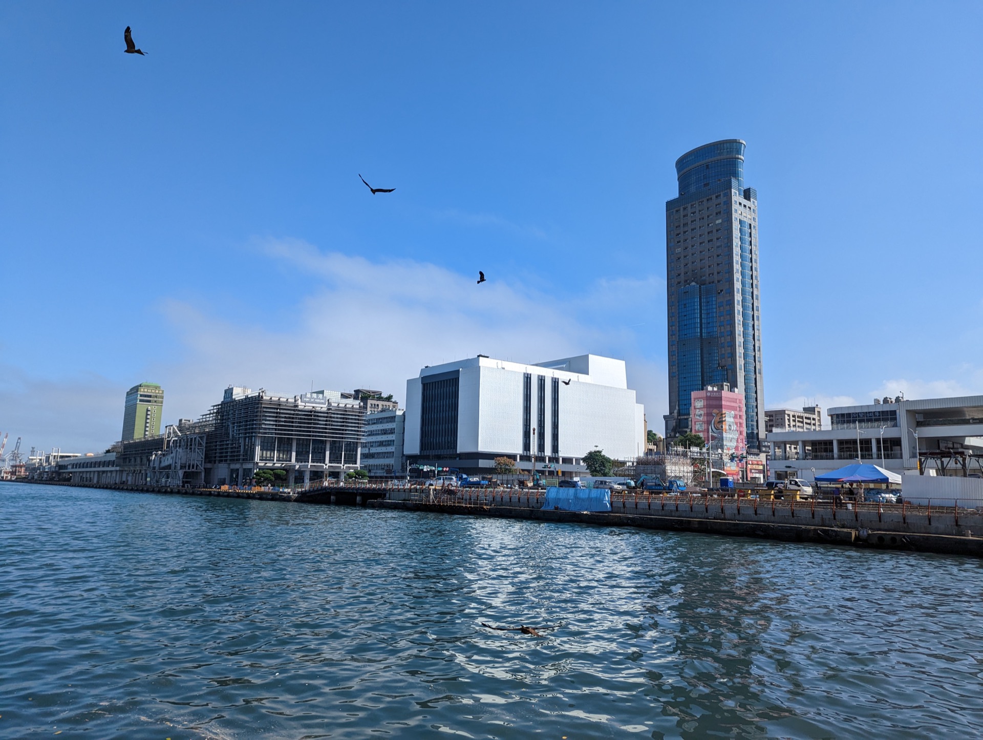 Pxl 20221112 024421527