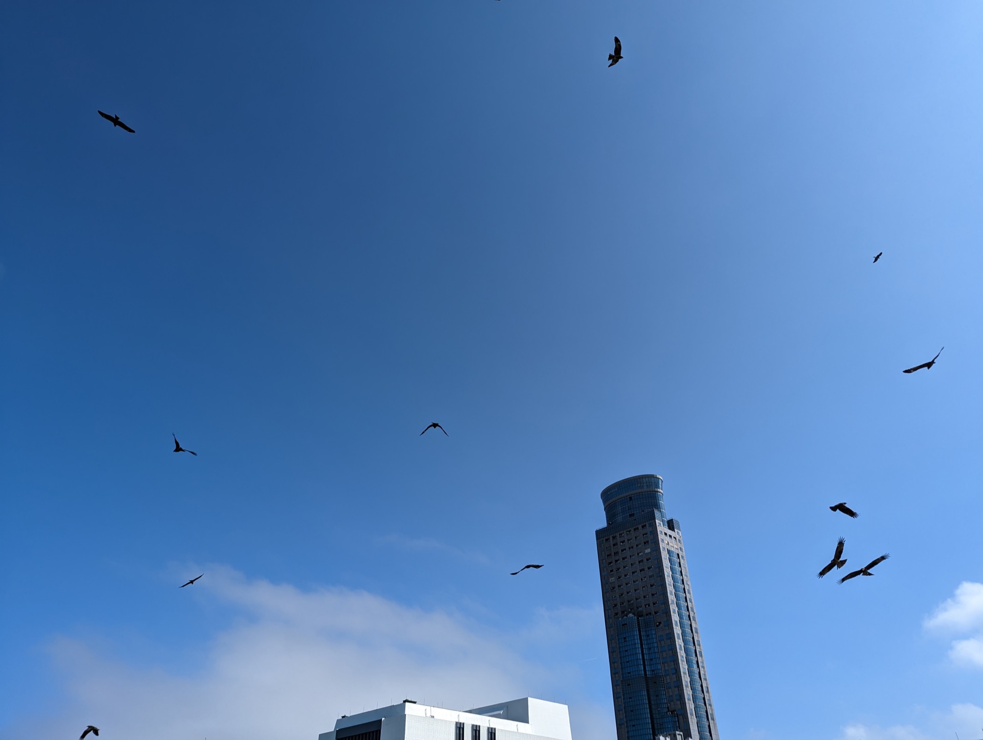 Pxl 20221112 024425500