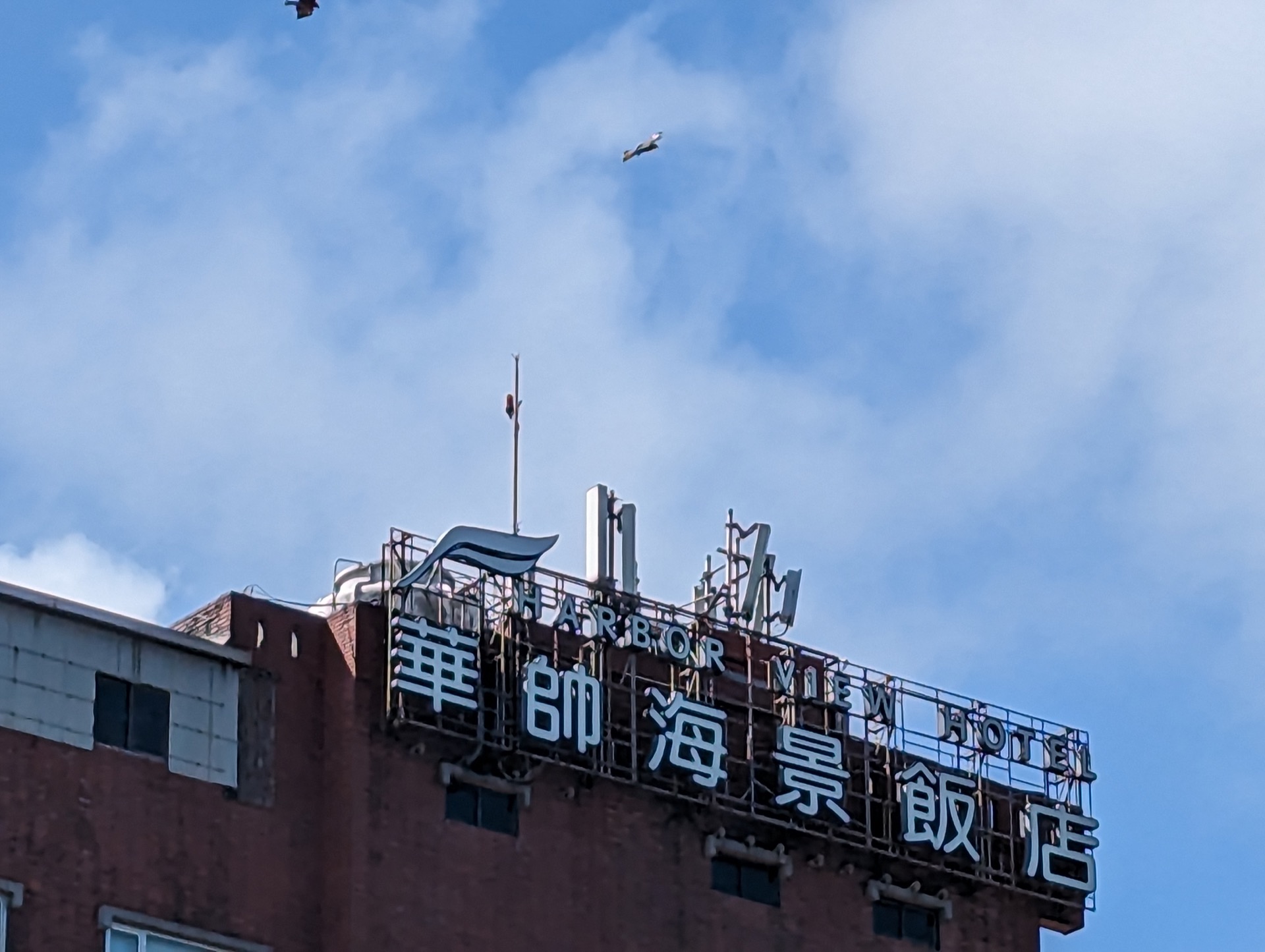 Pxl 20221112 024820981