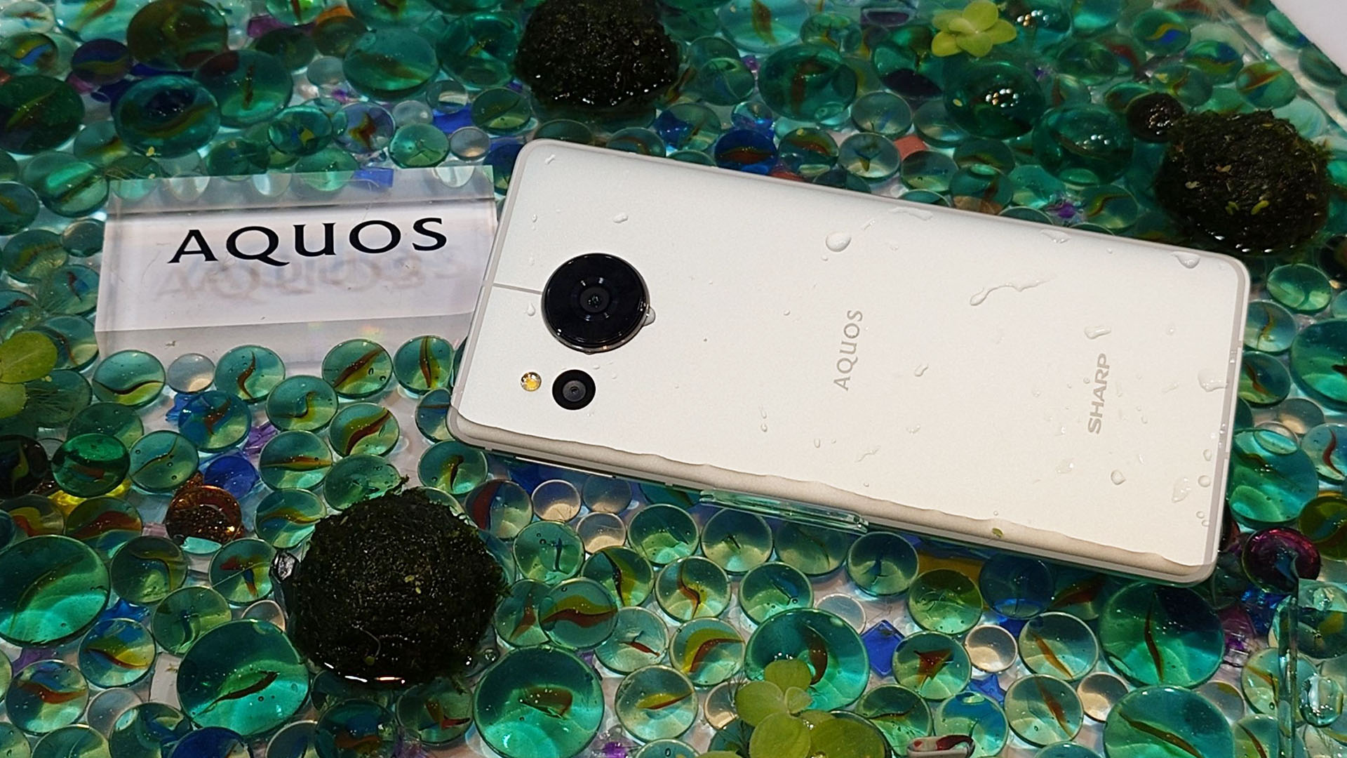 SHARP AQUOS sense7 plus 將於 8 月開賣，旗艦機 AQUOS R8、AQUOS R8 Pro 預計年底前推出